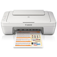 Canon PIXMA MG2520 printing supplies