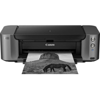 Canon PIXMA PRO-10S printing supplies