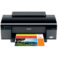 Epson WorkForce 30 printing supplies