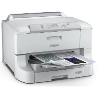 Epson WorkForce Pro WF-8010 DW consumibles de impresión