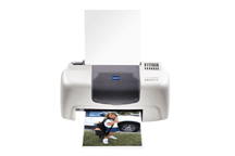 Epson Stylus Color 480SXU printing supplies