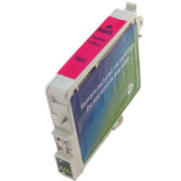 Epson T060320 Remanufactured InkJet Cartridge