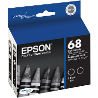Epson T068120-D2 InkJet Cartridges (2/Pack)