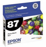 Epson T087120 InkJet Cartridge