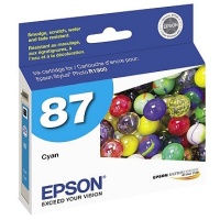 Epson T087220 InkJet Cartridge