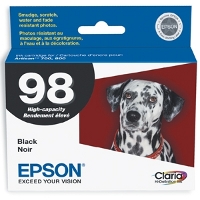 Epson T098120 InkJet Cartridge