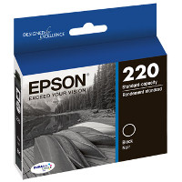 Epson T220120 InkJet Cartridge