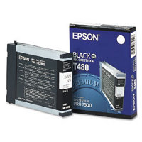Epson T480011 Black InkJet Cartridge