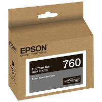 Epson T760120 InkJet Cartridge